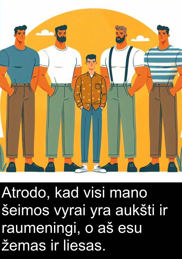 žemas: Atrodo, kad visi mano šeimos vyrai yra aukšti ir raumeningi, o aš esu žemas ir liesas.