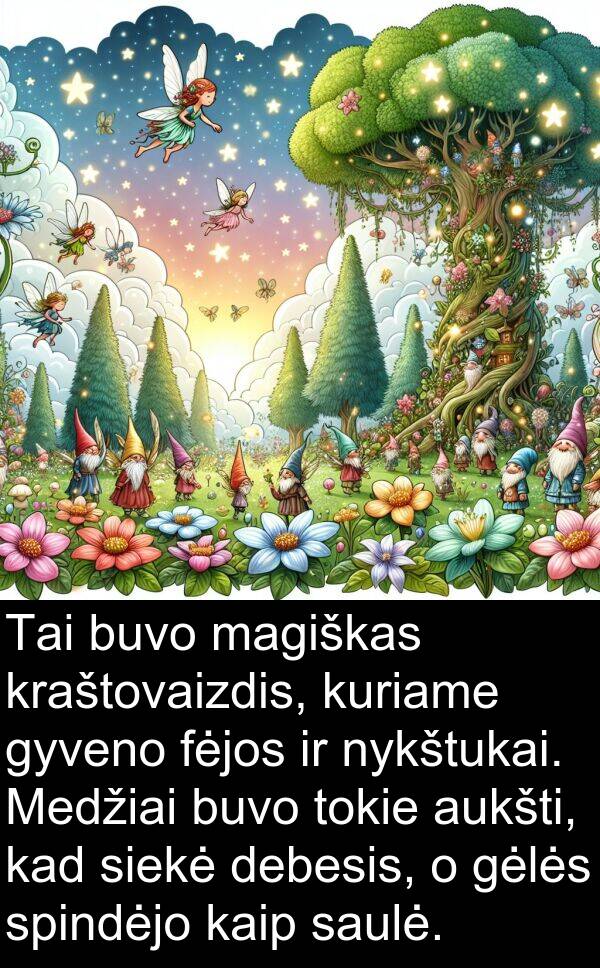 magiškas: Tai buvo magiškas kraštovaizdis, kuriame gyveno fėjos ir nykštukai. Medžiai buvo tokie aukšti, kad siekė debesis, o gėlės spindėjo kaip saulė.