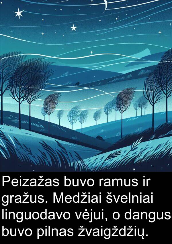 ramus: Peizažas buvo ramus ir gražus. Medžiai švelniai linguodavo vėjui, o dangus buvo pilnas žvaigždžių.