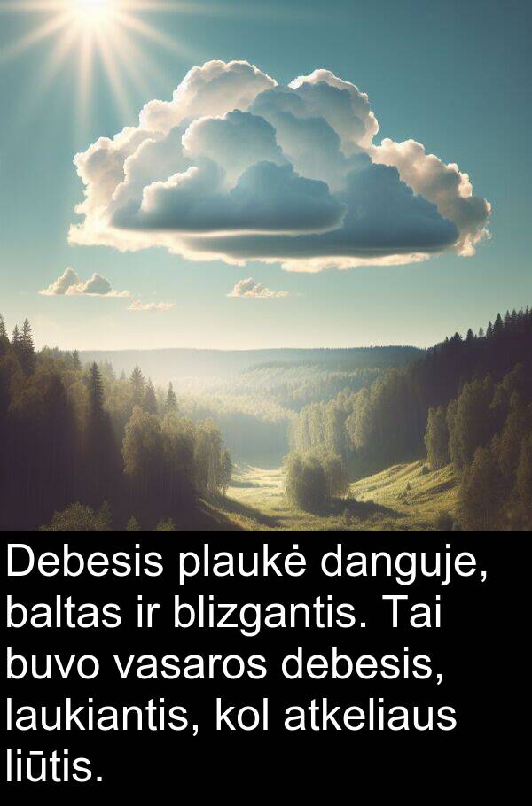 danguje: Debesis plaukė danguje, baltas ir blizgantis. Tai buvo vasaros debesis, laukiantis, kol atkeliaus liūtis.