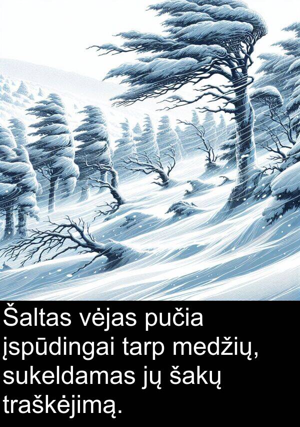 tarp: Šaltas vėjas pučia įspūdingai tarp medžių, sukeldamas jų šakų traškėjimą.