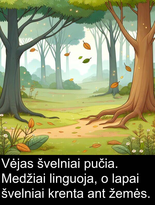 žemės: Vėjas švelniai pučia. Medžiai linguoja, o lapai švelniai krenta ant žemės.