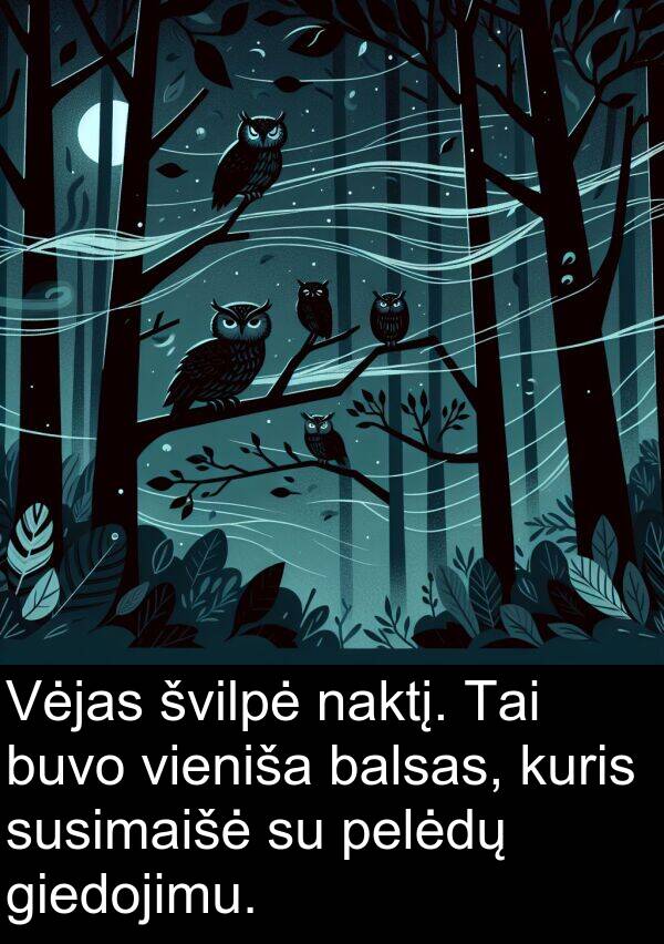 naktį: Vėjas švilpė naktį. Tai buvo vieniša balsas, kuris susimaišė su pelėdų giedojimu.