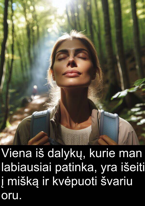 labiausiai: Viena iš dalykų, kurie man labiausiai patinka, yra išeiti į mišką ir kvėpuoti švariu oru.