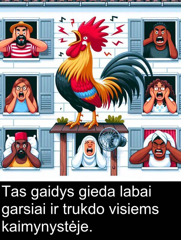 gaidys: Tas gaidys gieda labai garsiai ir trukdo visiems kaimynystėje.