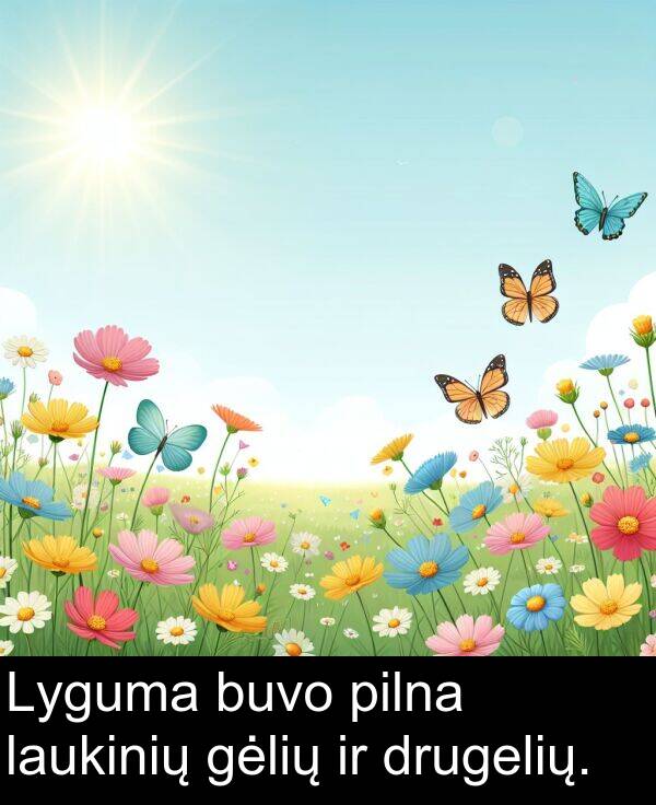 drugelių: Lyguma buvo pilna laukinių gėlių ir drugelių.