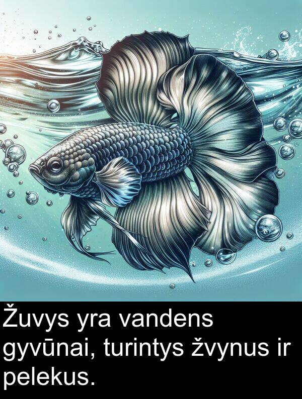 turintys: Žuvys yra vandens gyvūnai, turintys žvynus ir pelekus.