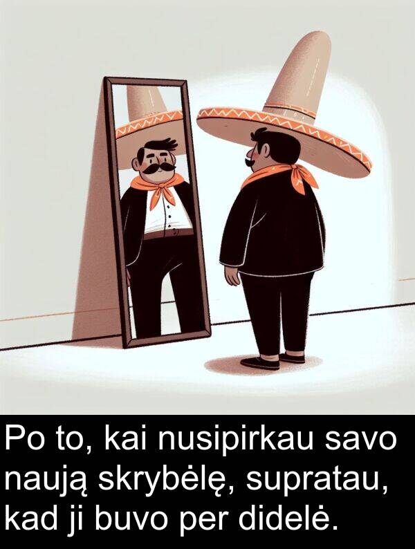 naują: Po to, kai nusipirkau savo naują skrybėlę, supratau, kad ji buvo per didelė.