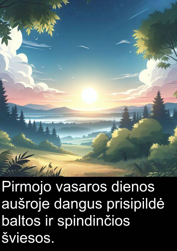 baltos: Pirmojo vasaros dienos aušroje dangus prisipildė baltos ir spindinčios šviesos.