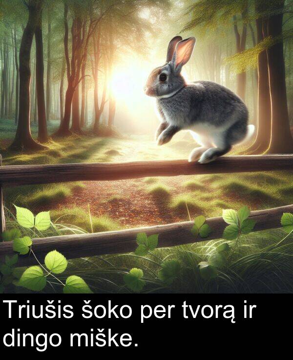 tvorą: Triušis šoko per tvorą ir dingo miške.