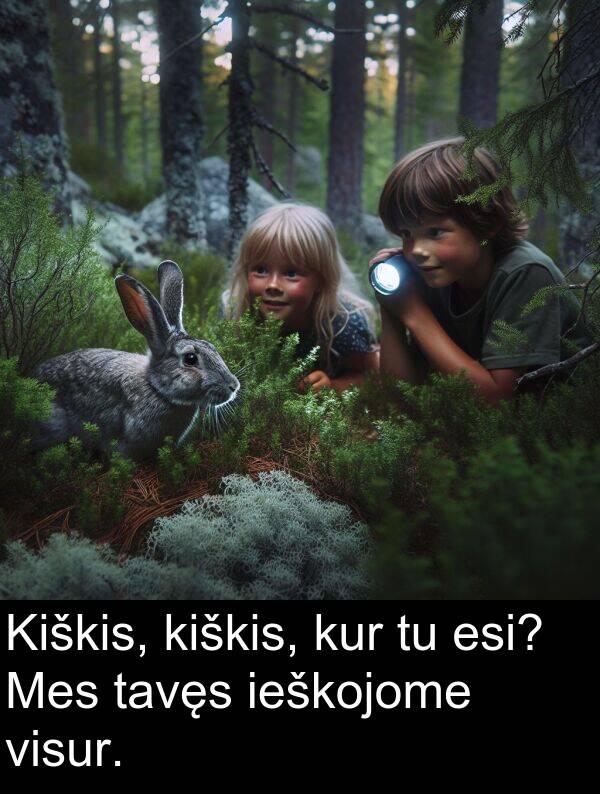 ieškojome: Kiškis, kiškis, kur tu esi? Mes tavęs ieškojome visur.