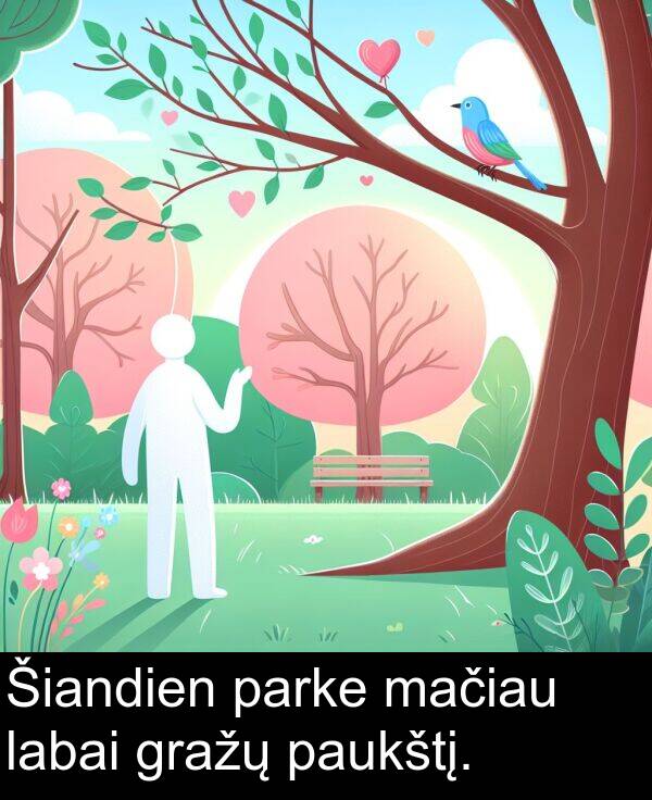 mačiau: Šiandien parke mačiau labai gražų paukštį.