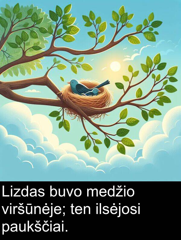 ilsėjosi: Lizdas buvo medžio viršūnėje; ten ilsėjosi paukščiai.