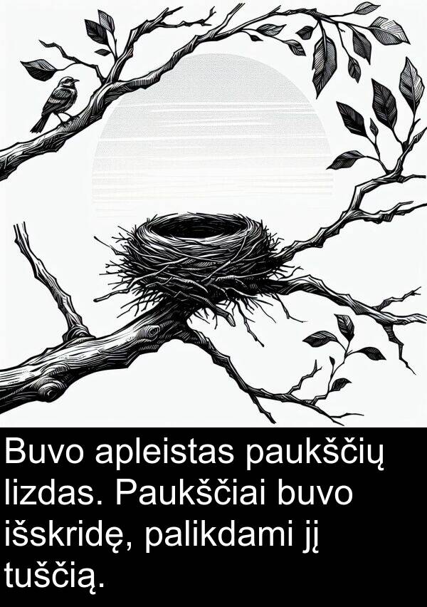 tuščią: Buvo apleistas paukščių lizdas. Paukščiai buvo išskridę, palikdami jį tuščią.