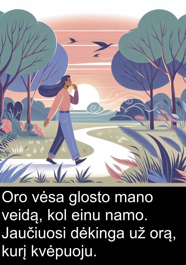 einu: Oro vėsa glosto mano veidą, kol einu namo. Jaučiuosi dėkinga už orą, kurį kvėpuoju.
