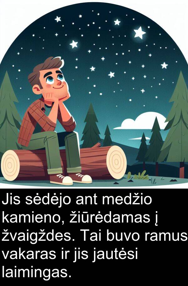 ramus: Jis sėdėjo ant medžio kamieno, žiūrėdamas į žvaigždes. Tai buvo ramus vakaras ir jis jautėsi laimingas.