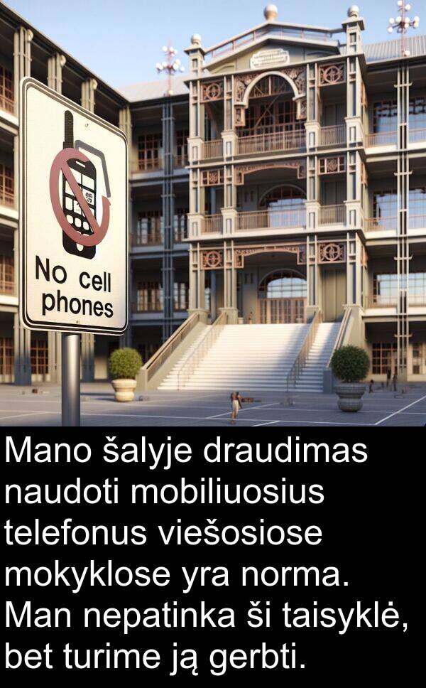 taisyklė: Mano šalyje draudimas naudoti mobiliuosius telefonus viešosiose mokyklose yra norma. Man nepatinka ši taisyklė, bet turime ją gerbti.