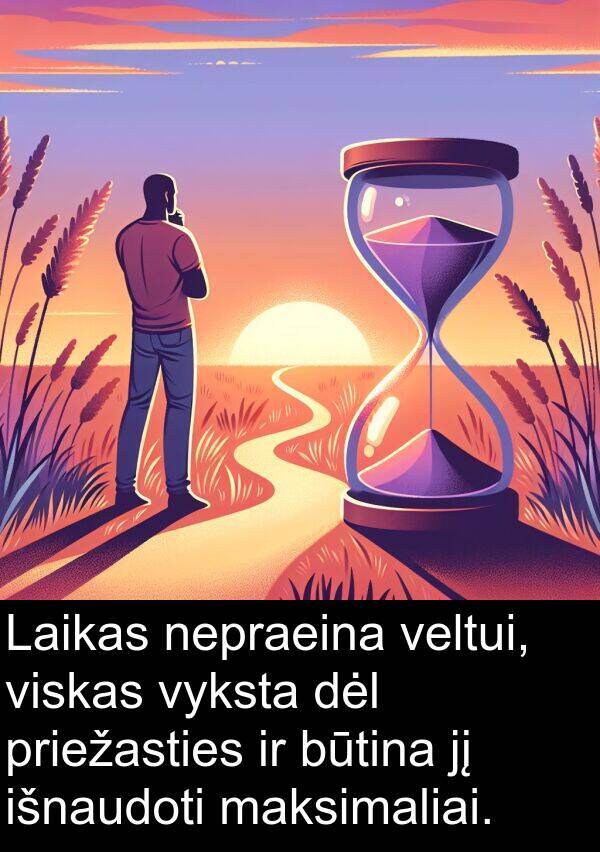 maksimaliai: Laikas nepraeina veltui, viskas vyksta dėl priežasties ir būtina jį išnaudoti maksimaliai.