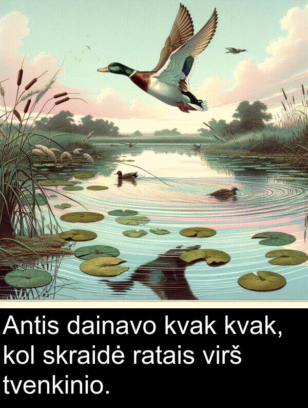 tvenkinio: Antis dainavo kvak kvak, kol skraidė ratais virš tvenkinio.