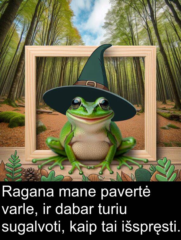 dabar: Ragana mane pavertė varle, ir dabar turiu sugalvoti, kaip tai išspręsti.
