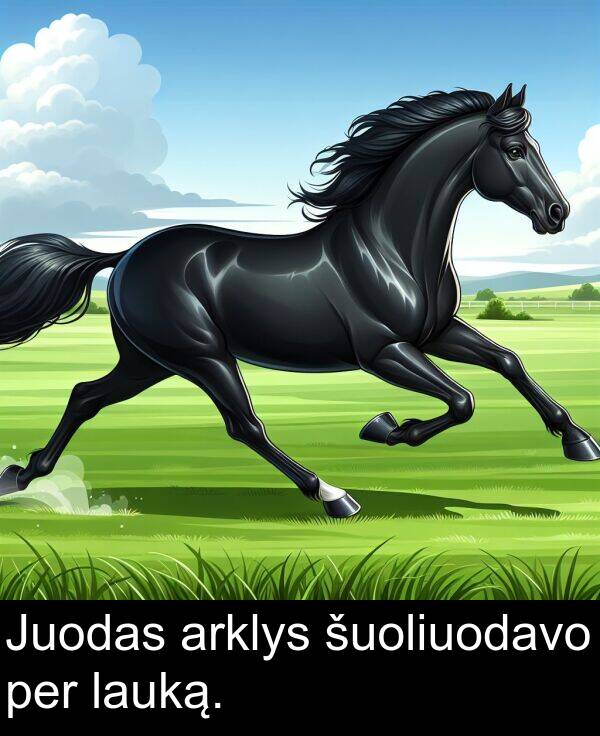 arklys: Juodas arklys šuoliuodavo per lauką.