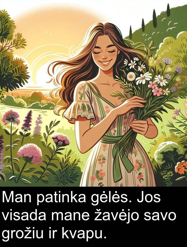 žavėjo: Man patinka gėlės. Jos visada mane žavėjo savo grožiu ir kvapu.