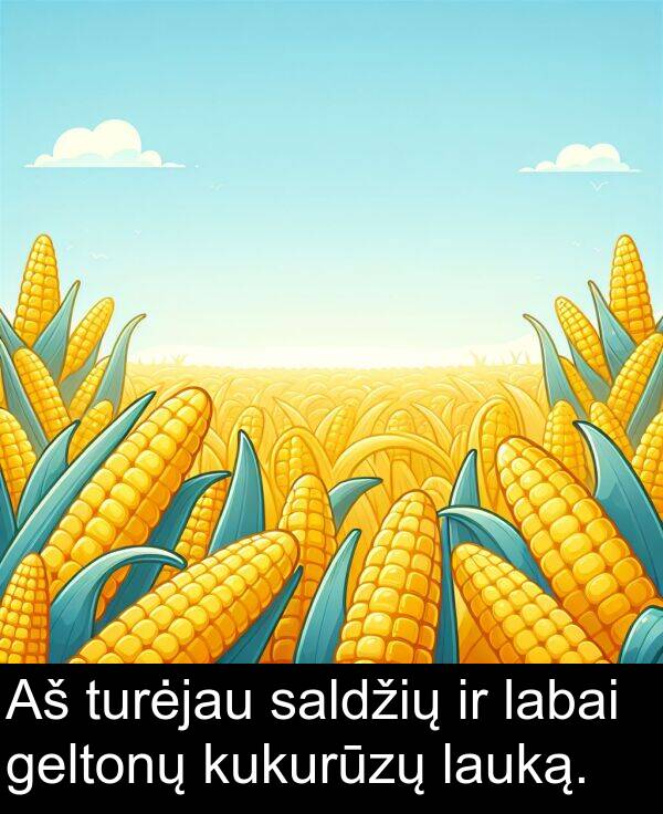 turėjau: Aš turėjau saldžių ir labai geltonų kukurūzų lauką.