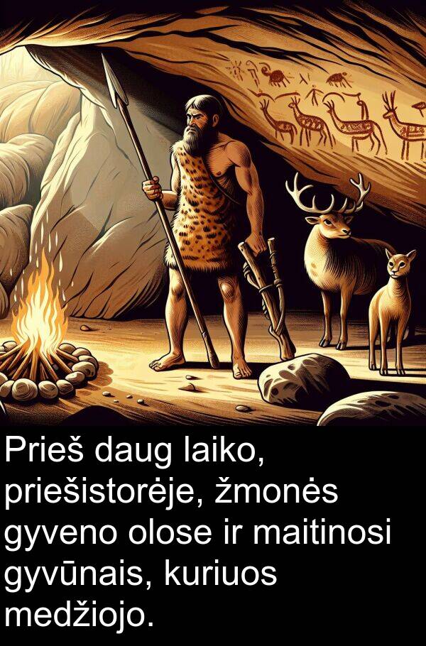 laiko: Prieš daug laiko, priešistorėje, žmonės gyveno olose ir maitinosi gyvūnais, kuriuos medžiojo.