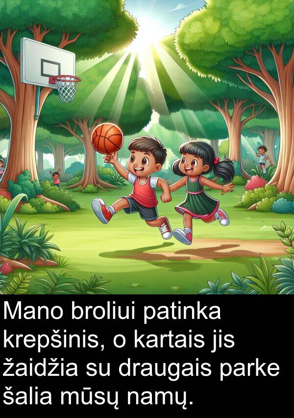 namų: Mano broliui patinka krepšinis, o kartais jis žaidžia su draugais parke šalia mūsų namų.