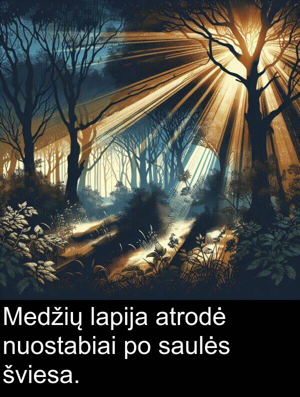 šviesa: Medžių lapija atrodė nuostabiai po saulės šviesa.