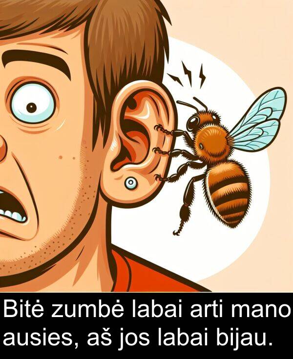 zumbė: Bitė zumbė labai arti mano ausies, aš jos labai bijau.