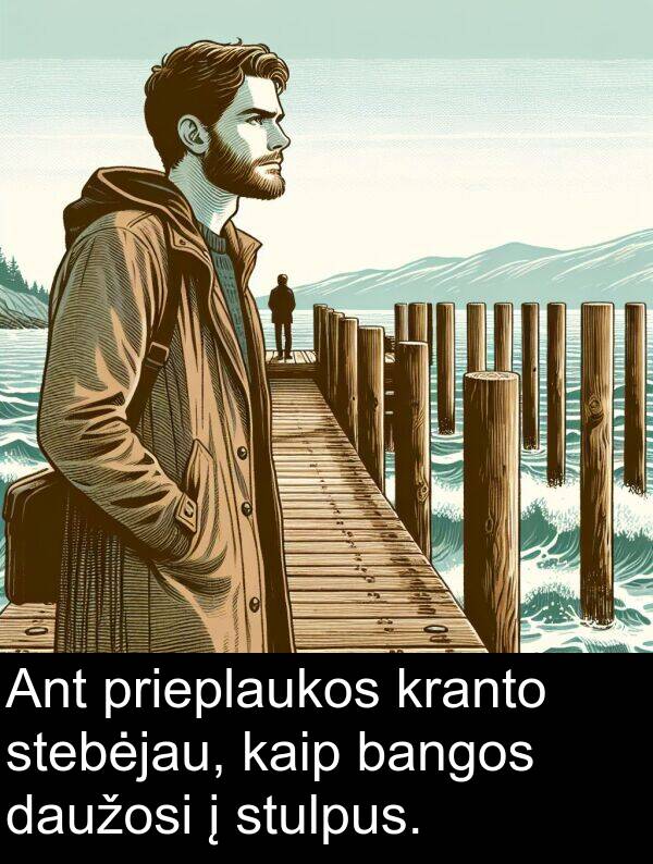 prieplaukos: Ant prieplaukos kranto stebėjau, kaip bangos daužosi į stulpus.