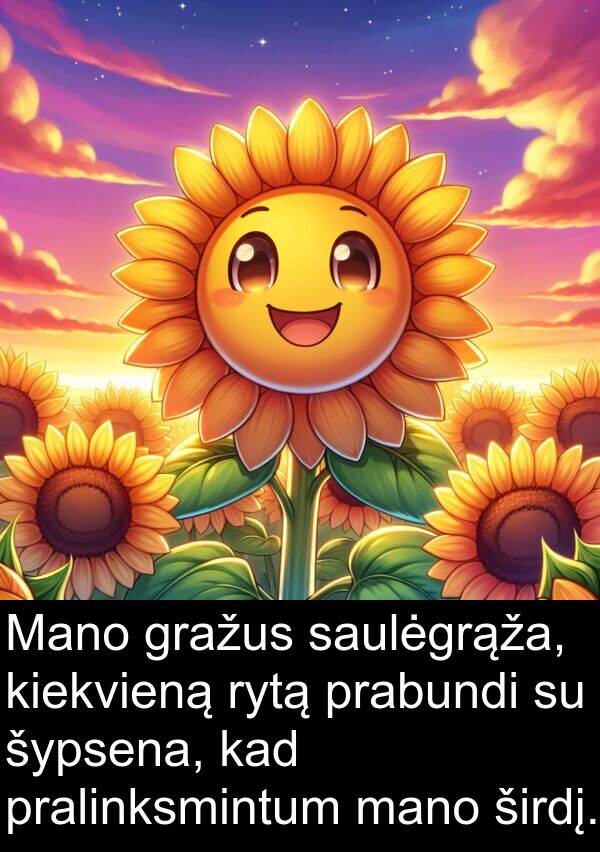 rytą: Mano gražus saulėgrąža, kiekvieną rytą prabundi su šypsena, kad pralinksmintum mano širdį.