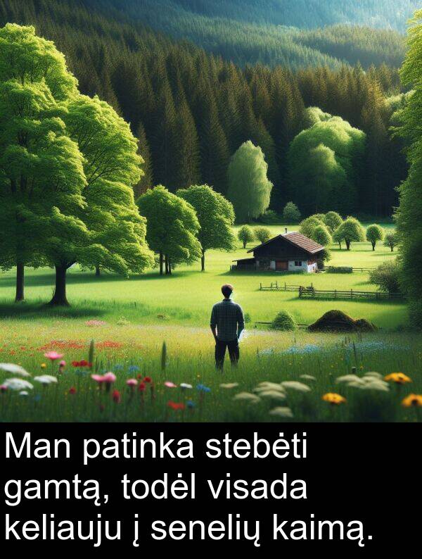 gamtą: Man patinka stebėti gamtą, todėl visada keliauju į senelių kaimą.