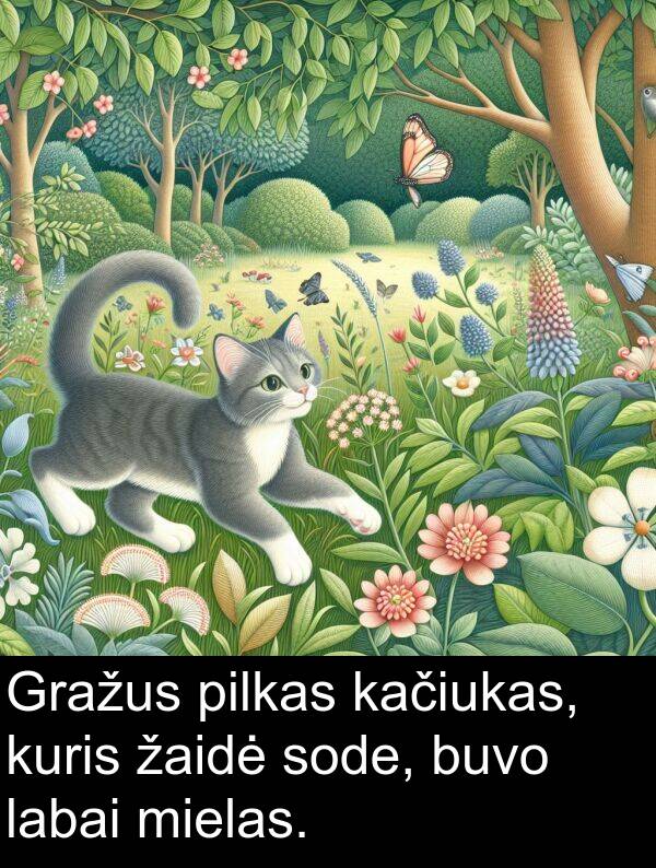 žaidė: Gražus pilkas kačiukas, kuris žaidė sode, buvo labai mielas.