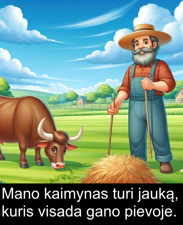 kaimynas: Mano kaimynas turi jauką, kuris visada gano pievoje.