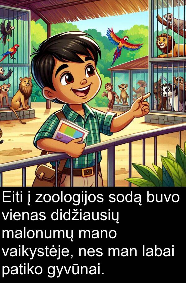 zoologijos: Eiti į zoologijos sodą buvo vienas didžiausių malonumų mano vaikystėje, nes man labai patiko gyvūnai.