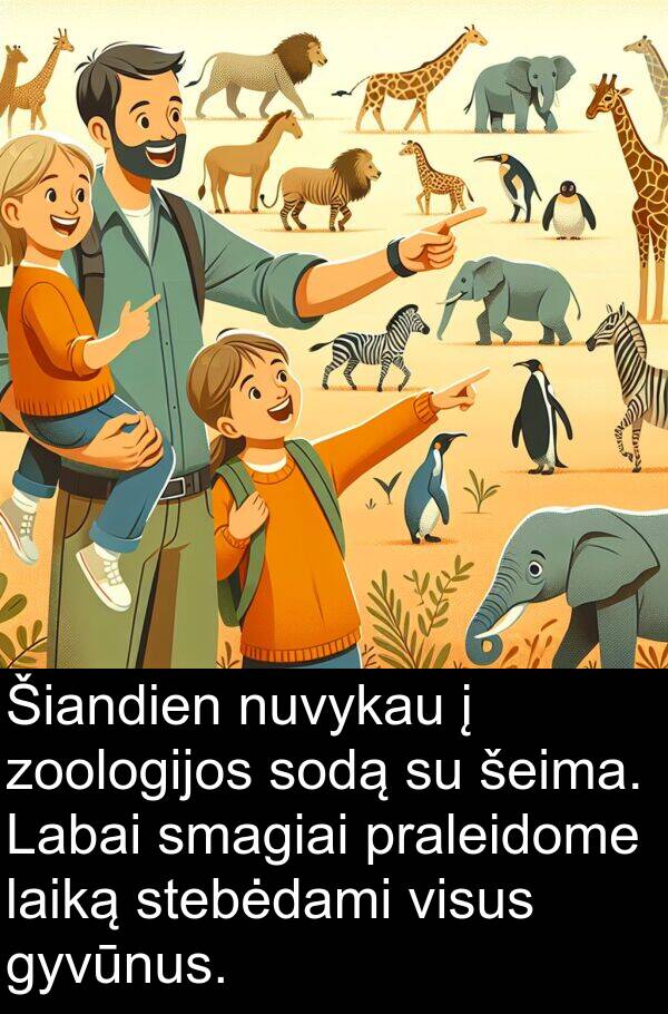 zoologijos: Šiandien nuvykau į zoologijos sodą su šeima. Labai smagiai praleidome laiką stebėdami visus gyvūnus.