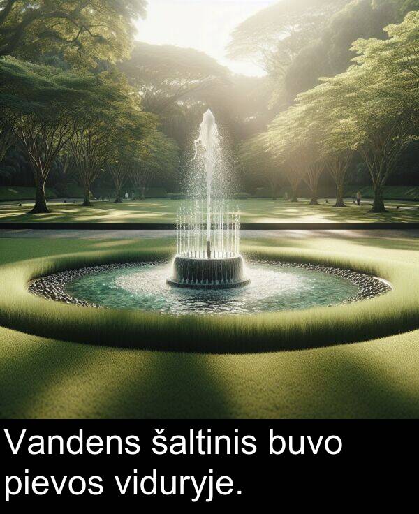 šaltinis: Vandens šaltinis buvo pievos viduryje.