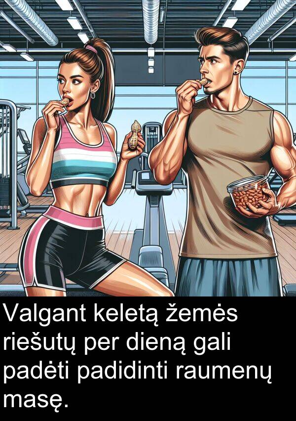 žemės: Valgant keletą žemės riešutų per dieną gali padėti padidinti raumenų masę.
