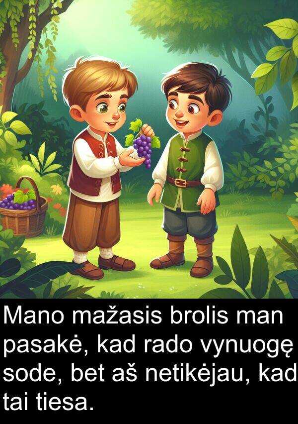rado: Mano mažasis brolis man pasakė, kad rado vynuogę sode, bet aš netikėjau, kad tai tiesa.