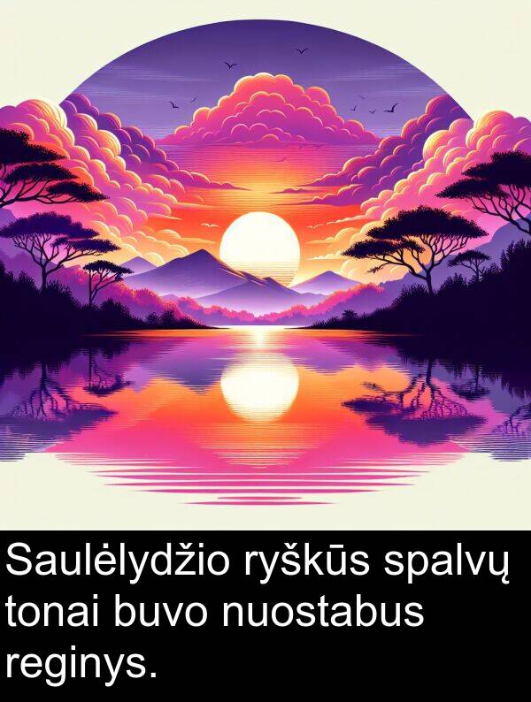 ryškūs: Saulėlydžio ryškūs spalvų tonai buvo nuostabus reginys.