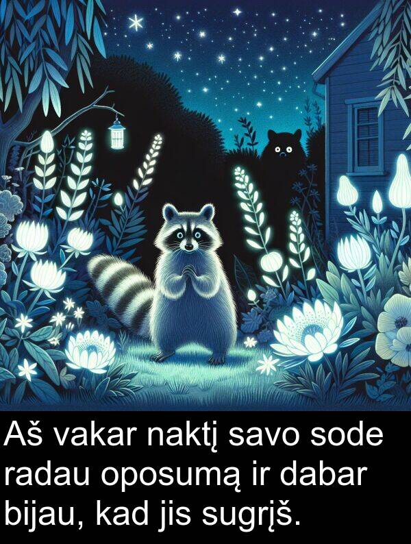naktį: Aš vakar naktį savo sode radau oposumą ir dabar bijau, kad jis sugrįš.