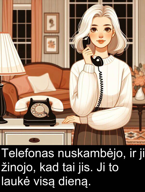 laukė: Telefonas nuskambėjo, ir ji žinojo, kad tai jis. Ji to laukė visą dieną.