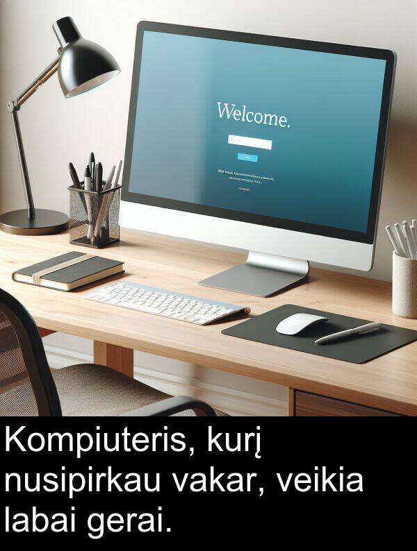 gerai: Kompiuteris, kurį nusipirkau vakar, veikia labai gerai.