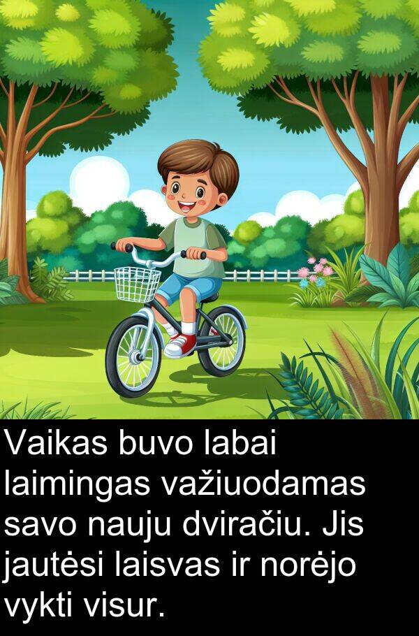 laisvas: Vaikas buvo labai laimingas važiuodamas savo nauju dviračiu. Jis jautėsi laisvas ir norėjo vykti visur.