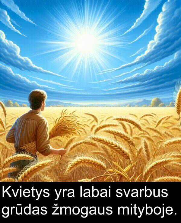 žmogaus: Kvietys yra labai svarbus grūdas žmogaus mityboje.