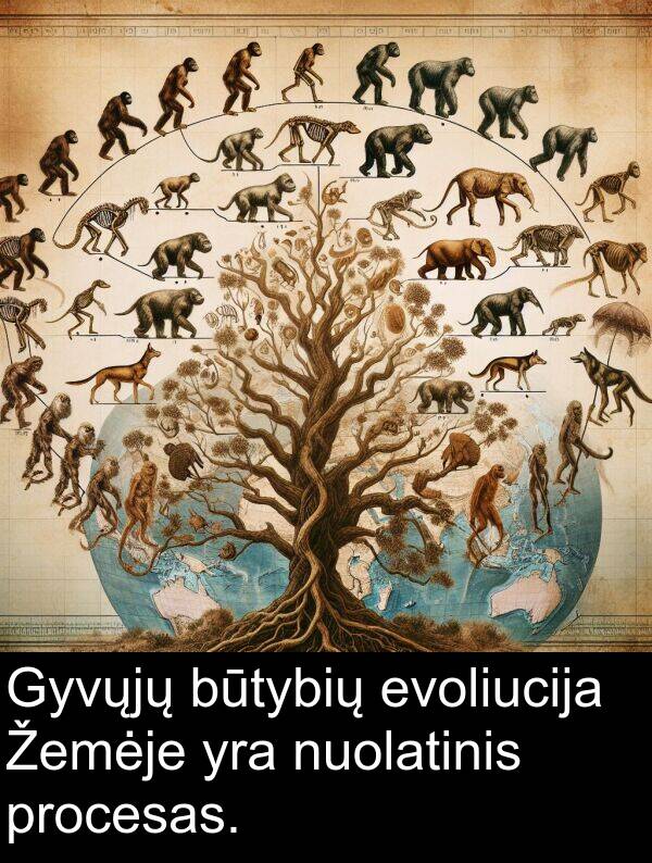 evoliucija: Gyvųjų būtybių evoliucija Žemėje yra nuolatinis procesas.