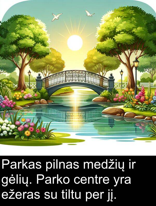 centre: Parkas pilnas medžių ir gėlių. Parko centre yra ežeras su tiltu per jį.