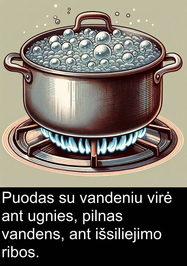 ugnies: Puodas su vandeniu virė ant ugnies, pilnas vandens, ant išsiliejimo ribos.